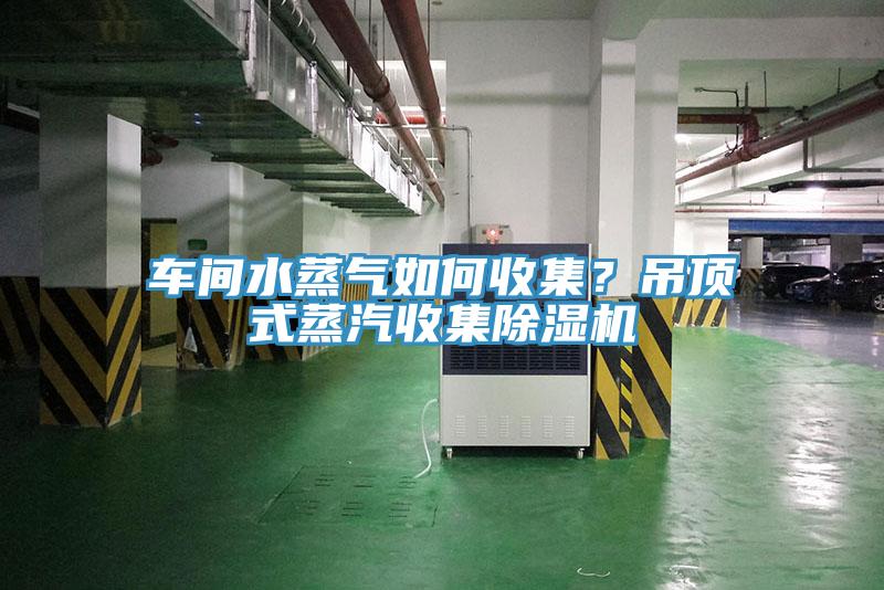 車間水蒸氣如何收集？吊頂式蒸汽收集除濕機(jī)