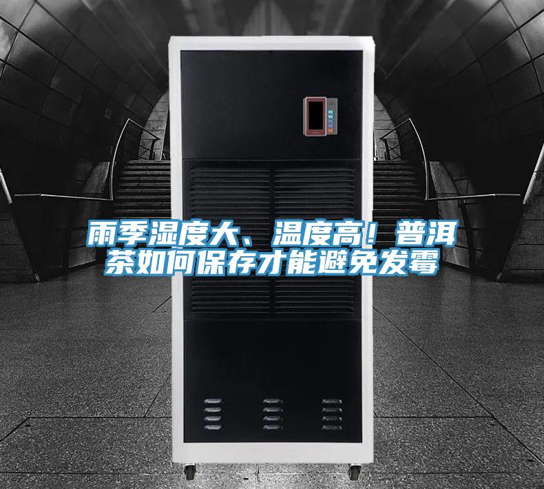 雨季濕度大、溫度高！普洱茶如何保存才能避免發(fā)霉