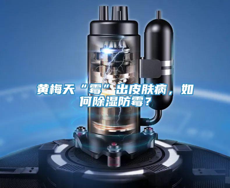 黃梅天“霉”出皮膚病，如何除濕防霉？