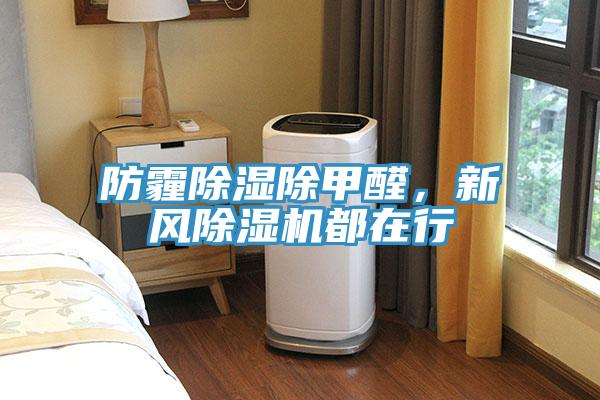 防霾除濕除甲醛，新風(fēng)除濕機(jī)都在行