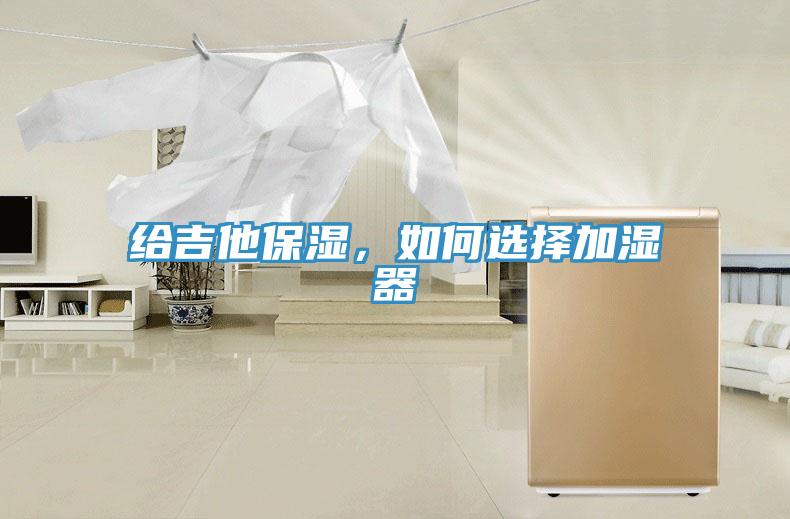 給吉他保濕，如何選擇加濕器