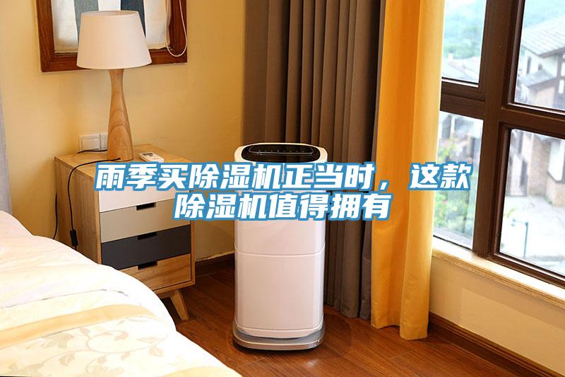 雨季買除濕機(jī)正當(dāng)時(shí)，這款除濕機(jī)值得擁有