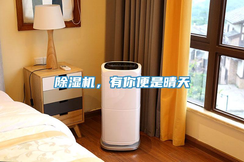除濕機，有你便是晴天