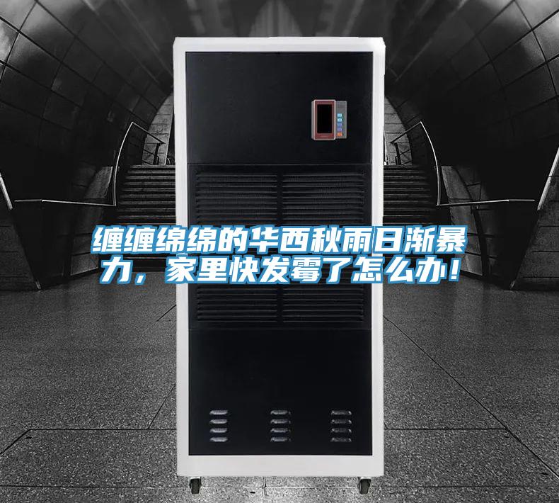 纏纏綿綿的華西秋雨日漸暴力，家里快發(fā)霉了怎么辦！