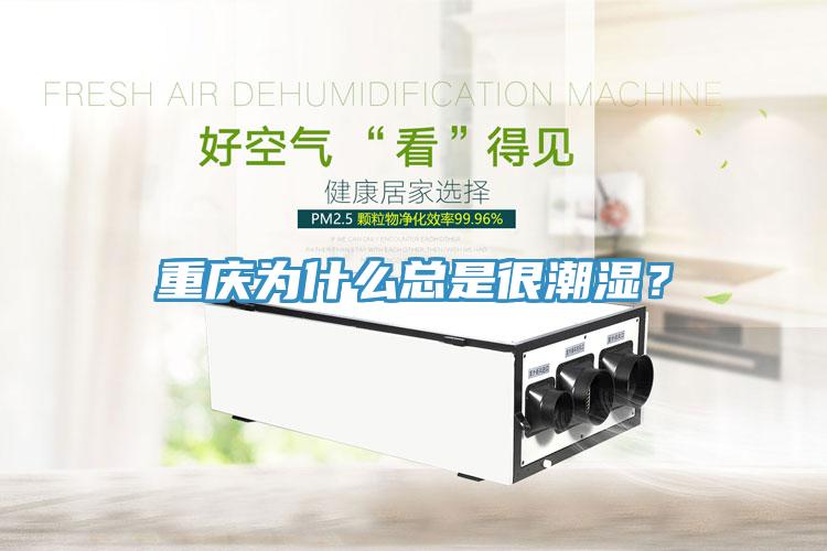 重慶為什么總是很潮濕？
