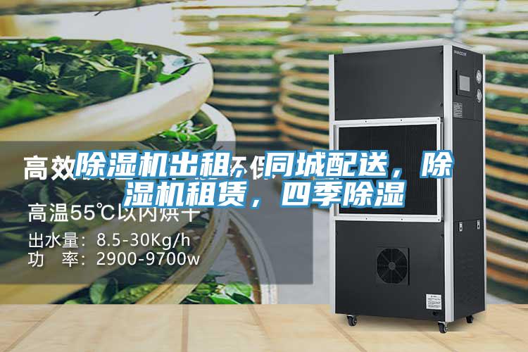 除濕機(jī)出租，同城配送，除濕機(jī)租賃，四季除濕