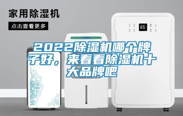 2022除濕機(jī)哪個(gè)牌子好，來看看除濕機(jī)十大品牌吧