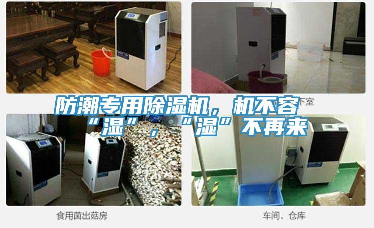 防潮專用除濕機，機不容“濕”，“濕”不再來