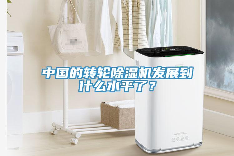 中國的轉(zhuǎn)輪除濕機(jī)發(fā)展到什么水平了？