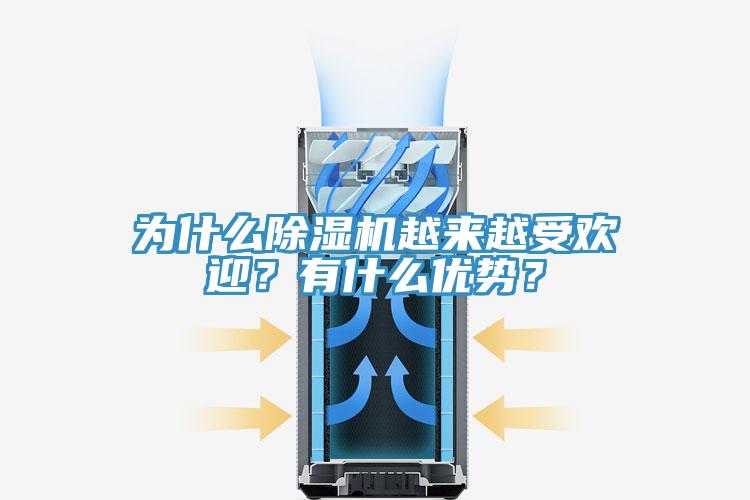 為什么除濕機(jī)越來(lái)越受歡迎？有什么優(yōu)勢(shì)？