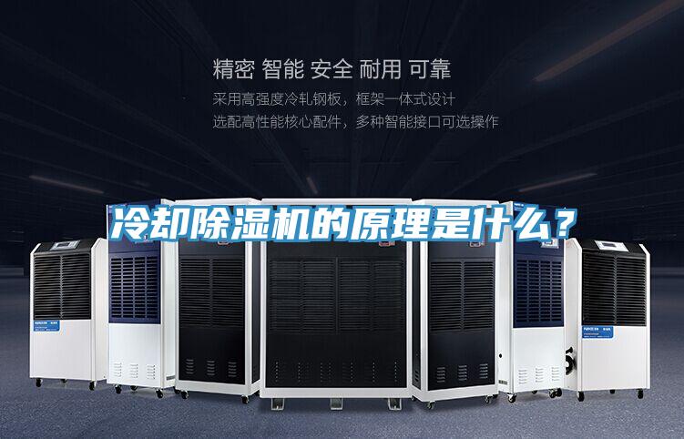 冷卻除濕機的原理是什么？