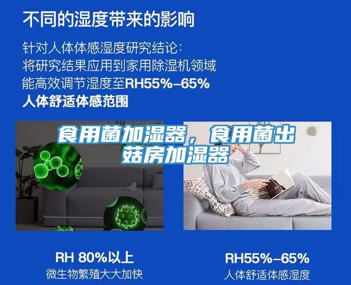 食用菌加濕器，食用菌出菇房加濕器