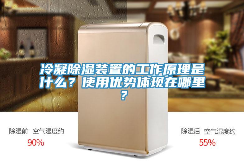 冷凝除濕裝置的工作原理是什么？使用優(yōu)勢體現(xiàn)在哪里？