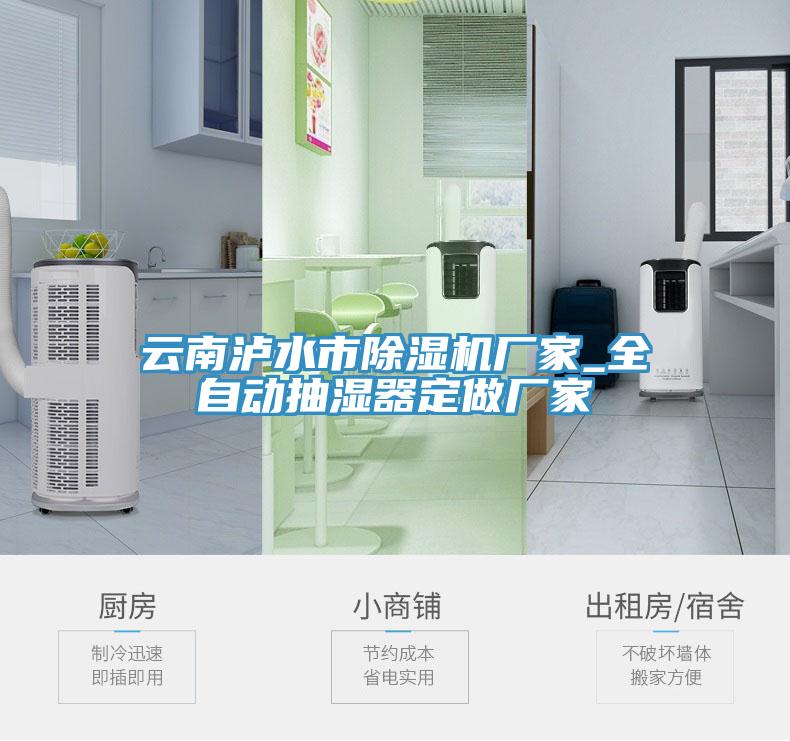 云南瀘水市除濕機(jī)廠(chǎng)家_全自動(dòng)抽濕器定做廠(chǎng)家
