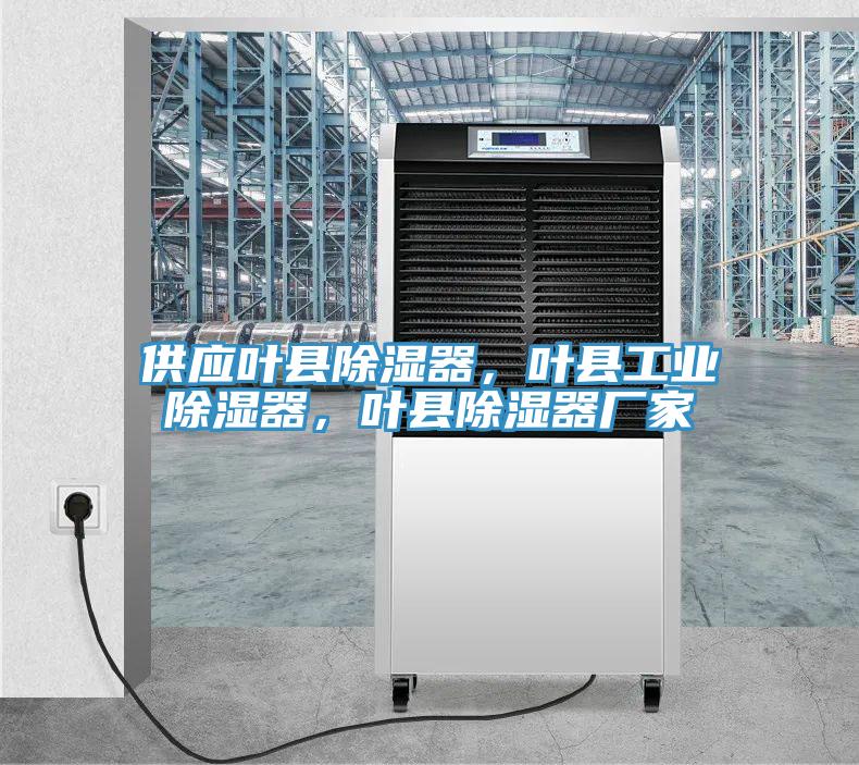 供應葉縣除濕器，葉縣工業(yè)除濕器，葉縣除濕器廠家