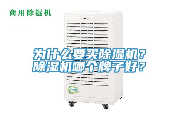 為什么要買除濕機(jī)？除濕機(jī)哪個(gè)牌子好？