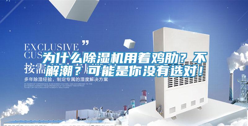 為什么除濕機(jī)用著雞肋？不解潮？可能是你沒有選對！