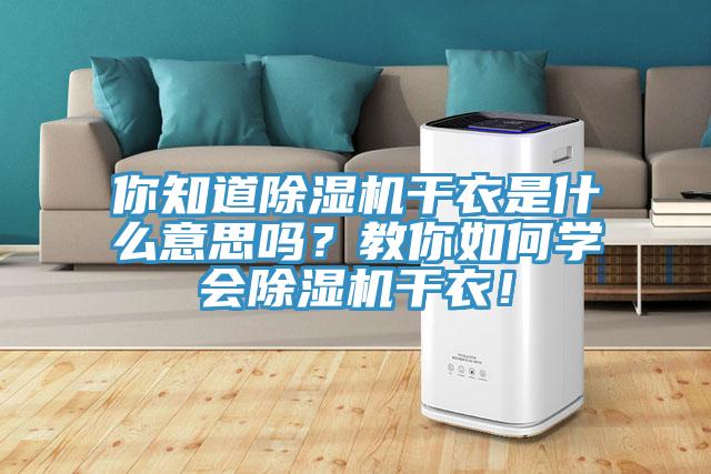 你知道除濕機(jī)干衣是什么意思嗎？教你如何學(xué)會除濕機(jī)干衣！