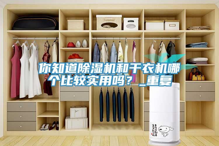 你知道除濕機(jī)和干衣機(jī)哪個(gè)比較實(shí)用嗎？_重復(fù)