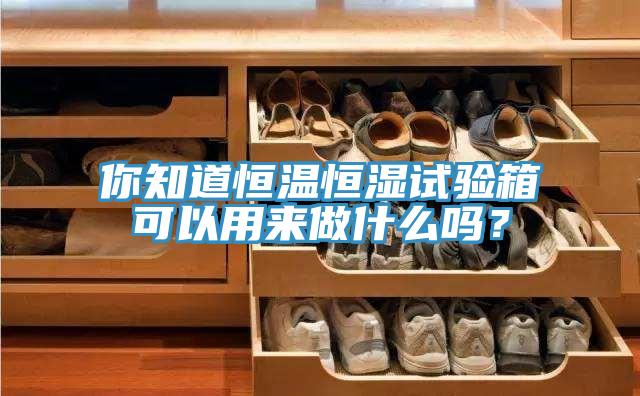 你知道恒溫恒濕試驗箱可以用來做什么嗎？