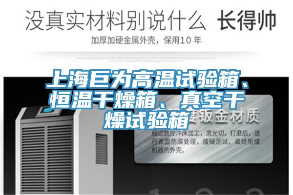 上海巨為高溫試驗(yàn)箱、恒溫干燥箱、真空干燥試驗(yàn)箱