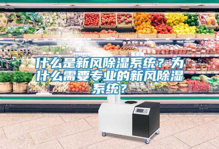 什么是新風(fēng)除濕系統(tǒng)？為什么需要專業(yè)的新風(fēng)除濕系統(tǒng)？