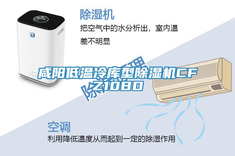 咸陽低溫冷庫(kù)型除濕機(jī)CFZ10BD