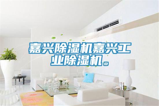 嘉興除濕機嘉興工業(yè)除濕機。