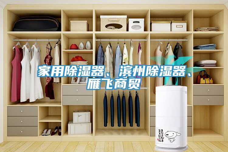 家用除濕器、濱州除濕器、雁飛商貿(mào)
