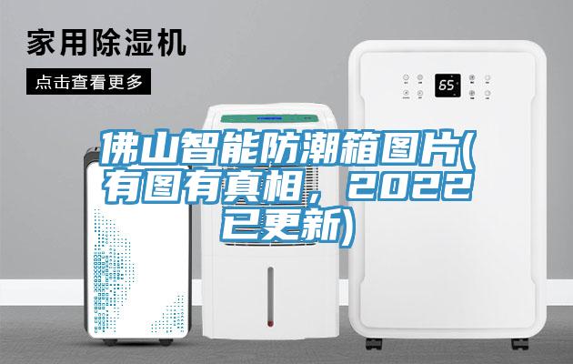 佛山智能防潮箱圖片(有圖有真相，2022已更新)