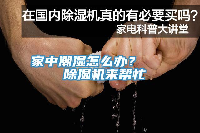 家中潮濕怎么辦？    除濕機(jī)來(lái)幫忙