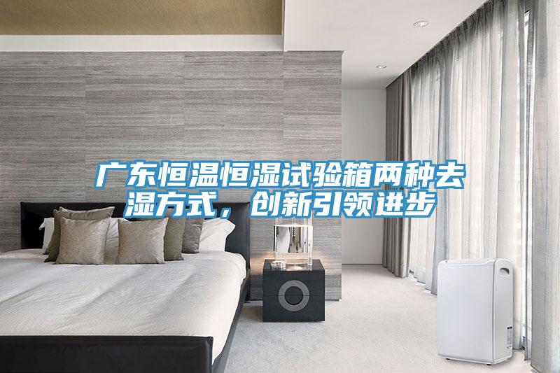 廣東恒溫恒濕試驗(yàn)箱兩種去濕方式，創(chuàng)新引領(lǐng)進(jìn)步