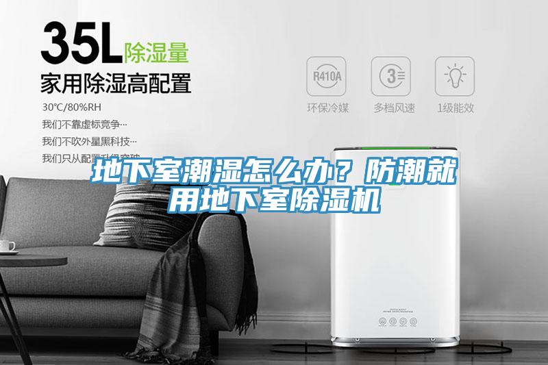 地下室潮濕怎么辦？防潮就用地下室除濕機(jī)