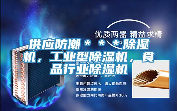 供應防潮＊＊＊除濕機，工業(yè)型除濕機，食品行業(yè)除濕機