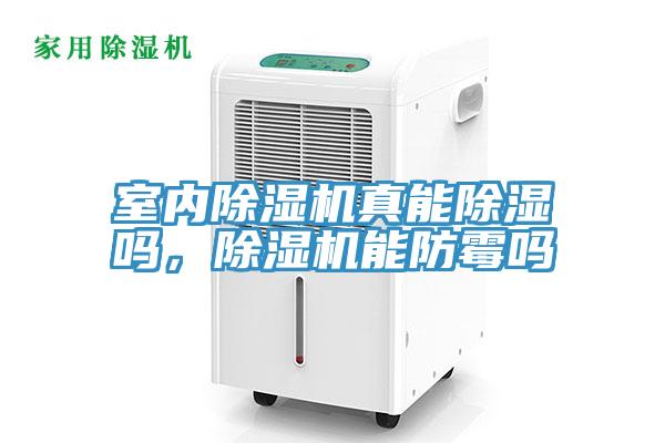 室內(nèi)除濕機真能除濕嗎，除濕機能防霉嗎