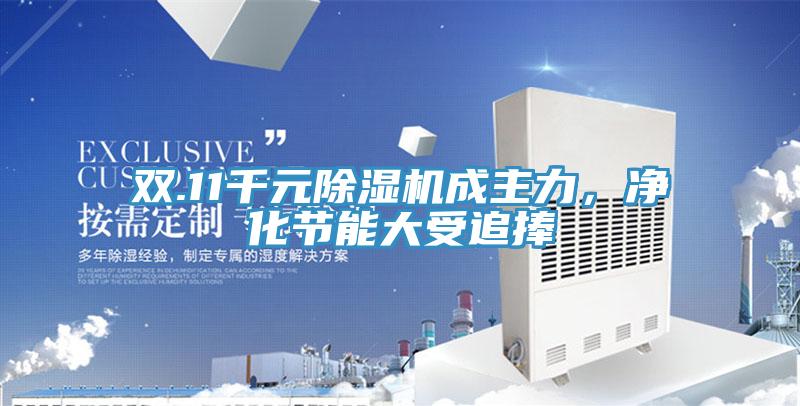 雙.11千元除濕機(jī)成主力，凈化節(jié)能大受追捧