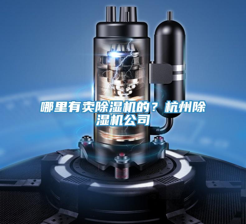 哪里有賣除濕機(jī)的？杭州除濕機(jī)公司