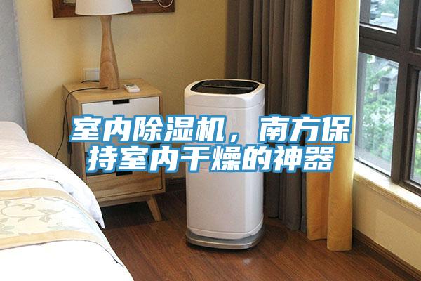 室內(nèi)除濕機(jī)，南方保持室內(nèi)干燥的神器