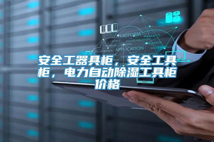 安全工器具柜，安全工具柜，電力自動除濕工具柜價格