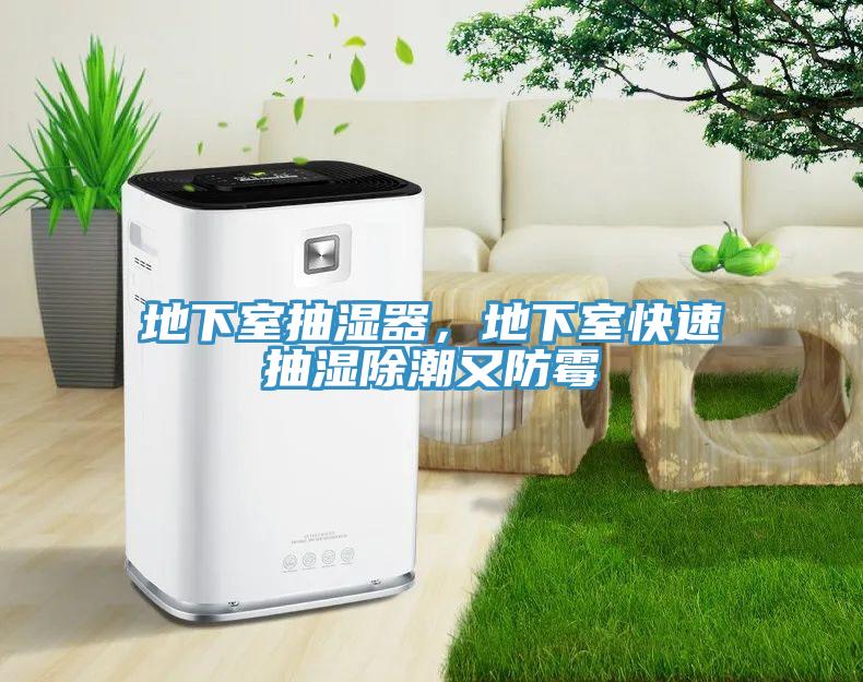 地下室抽濕器，地下室快速抽濕除潮又防霉