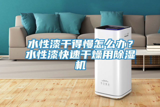 水性漆干得慢怎么辦？水性漆快速干燥用除濕機