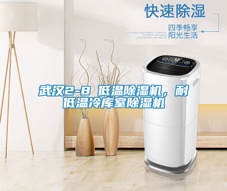 武漢2-8℃低溫除濕機(jī)，耐低溫冷庫(kù)室除濕機(jī)