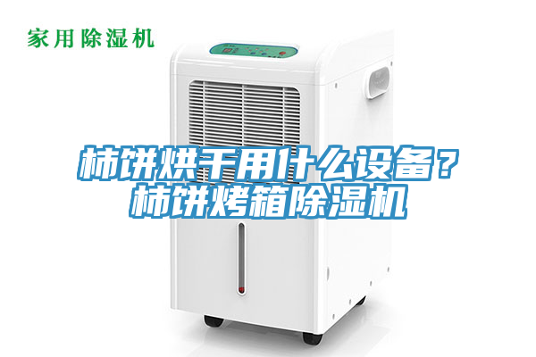 柿餅烘干用什么設(shè)備？柿餅烤箱除濕機