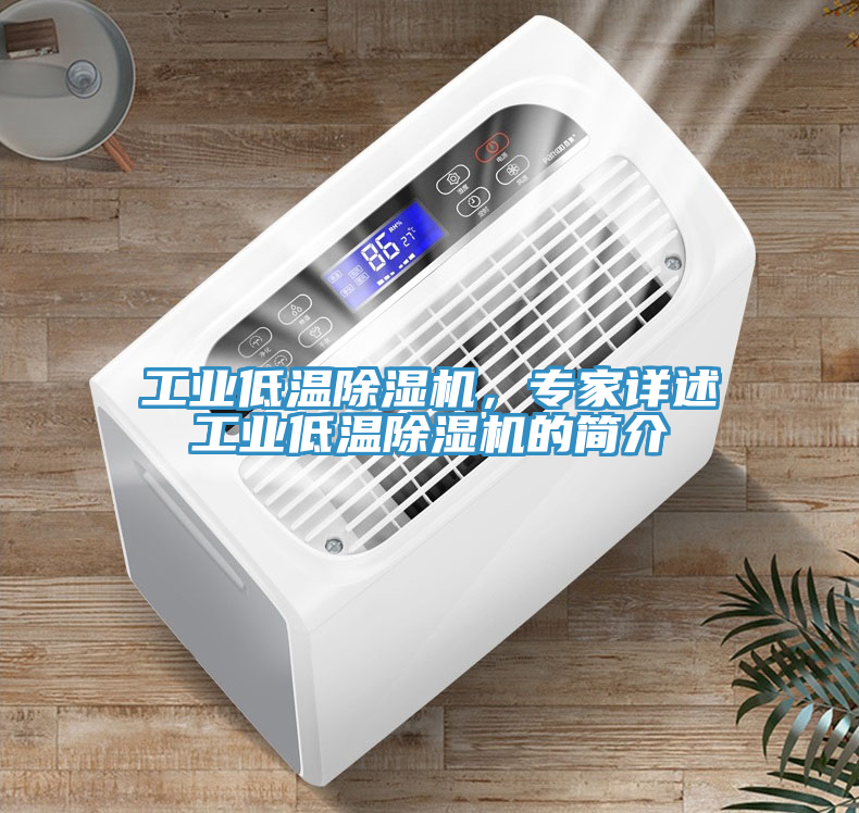 工業(yè)低溫除濕機(jī)，專家詳述工業(yè)低溫除濕機(jī)的簡(jiǎn)介