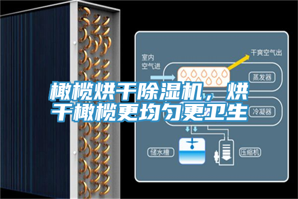 橄欖烘干除濕機，烘干橄欖更均勻更衛(wèi)生