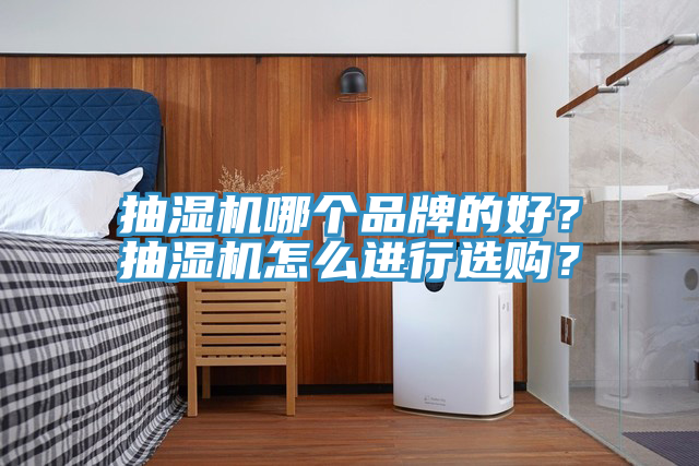 抽濕機哪個品牌的好？抽濕機怎么進行選購？
