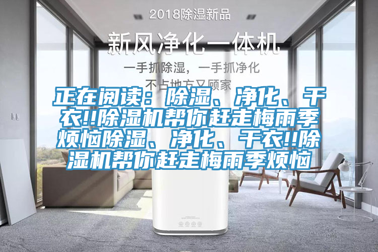 正在閱讀：除濕、凈化、干衣!!除濕機幫你趕走梅雨季煩惱除濕、凈化、干衣!!除濕機幫你趕走梅雨季煩惱