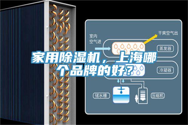 家用除濕機，上海哪個品牌的好？