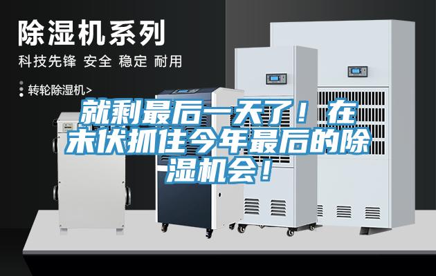 就剩最后一天了！在末伏抓住今年最后的除濕機(jī)會(huì)！