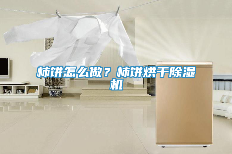 柿餅怎么做？柿餅烘干除濕機